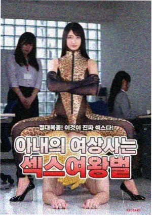 排播资讯配图：松石绿时间轴与铜棕场次标记